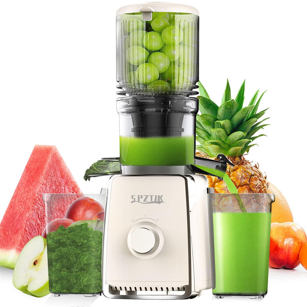 Cold Press Juicer