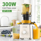 Cold Press Juicer