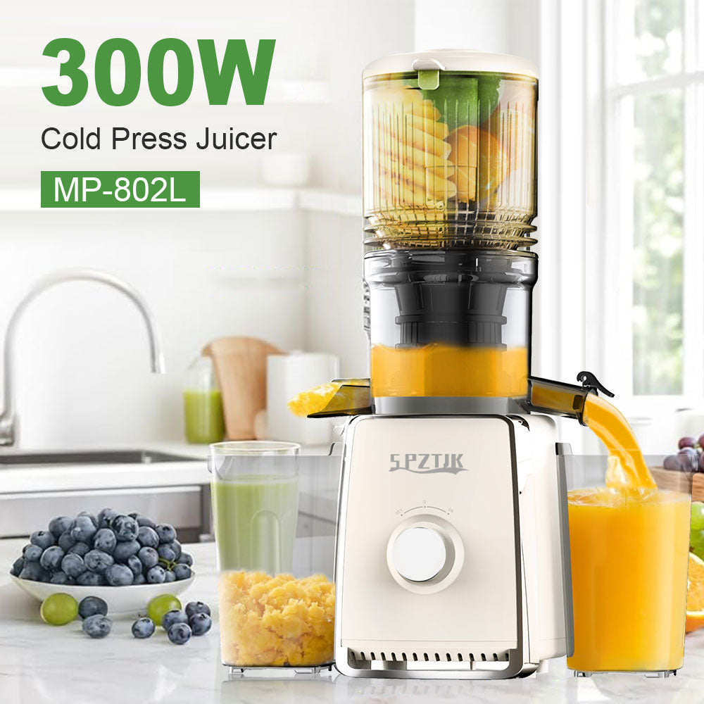 Cold Press Juicer