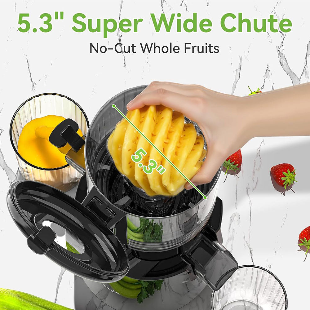 Cold Press Juicer
