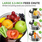 Cold Press Juicer