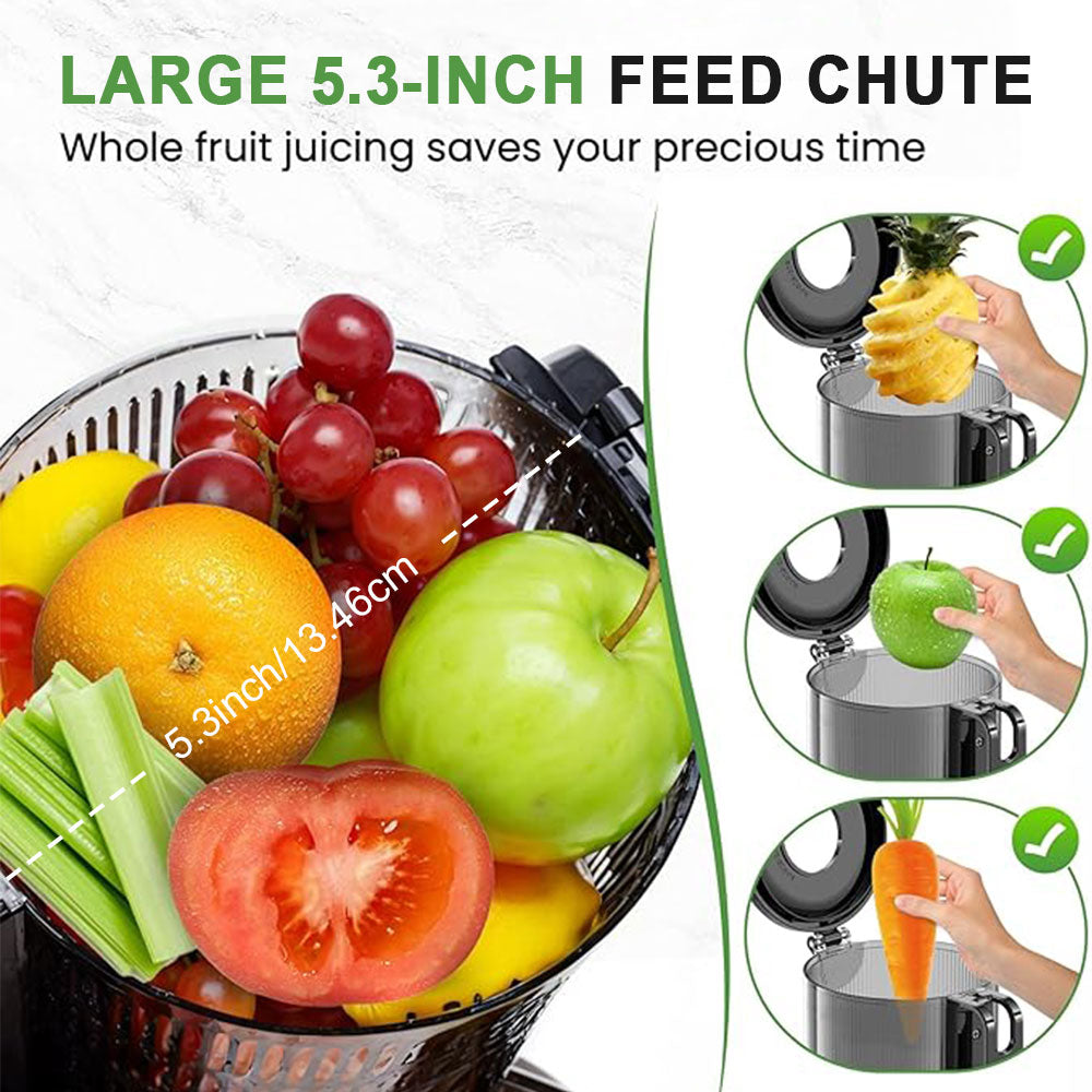 Cold Press Juicer